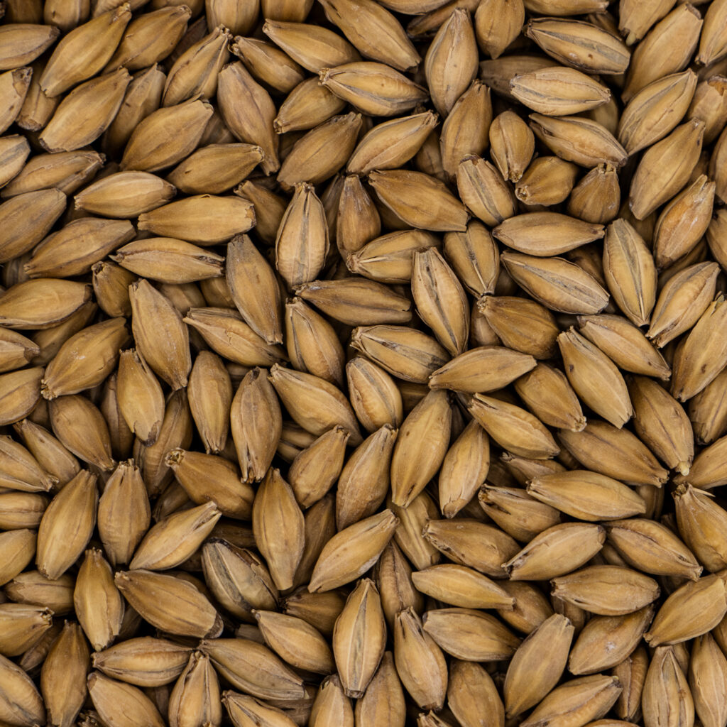 Simpsons Finest Pale Ale Golden Promise (25kg)