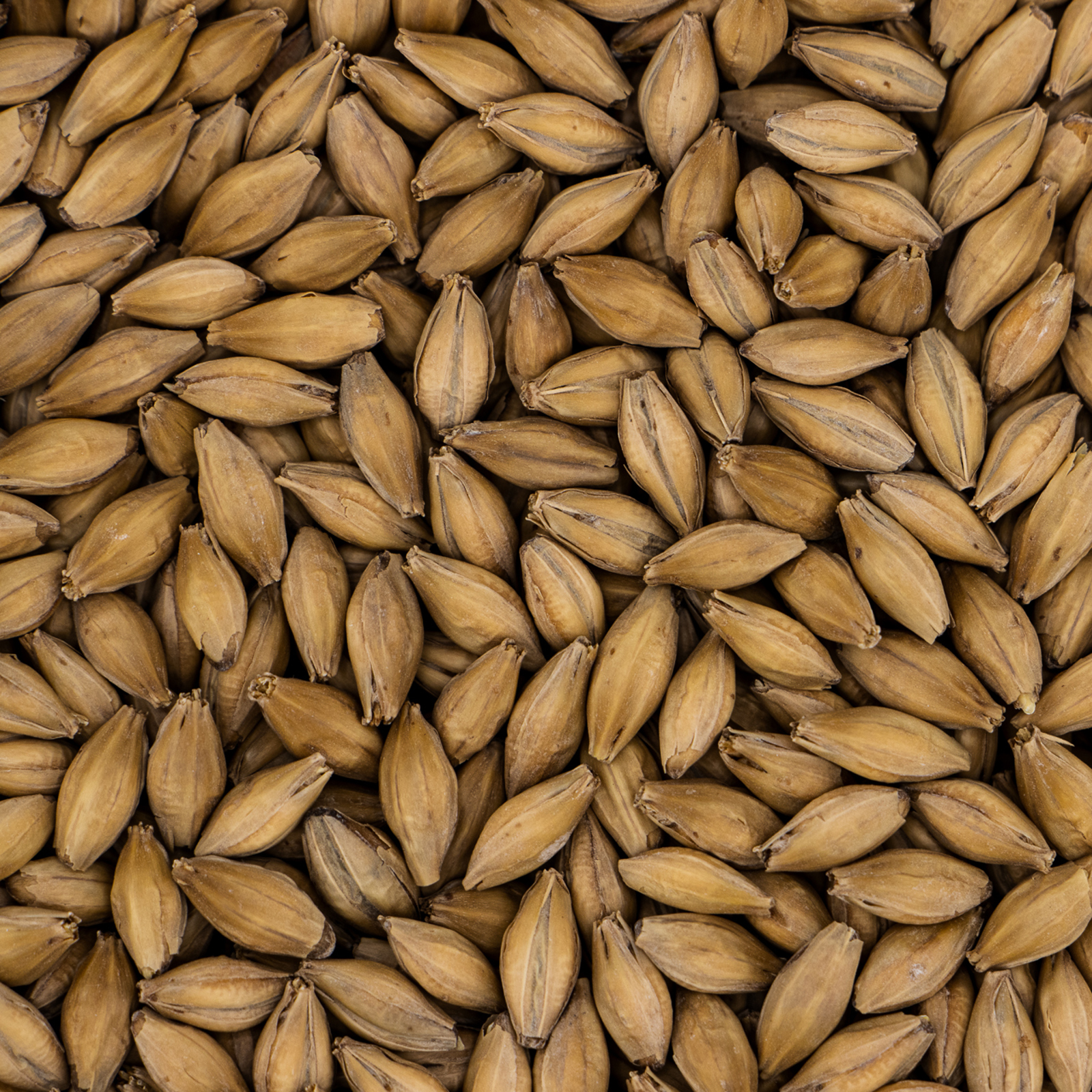 Simpsons Finest Pale Ale Golden Promise (25kg)