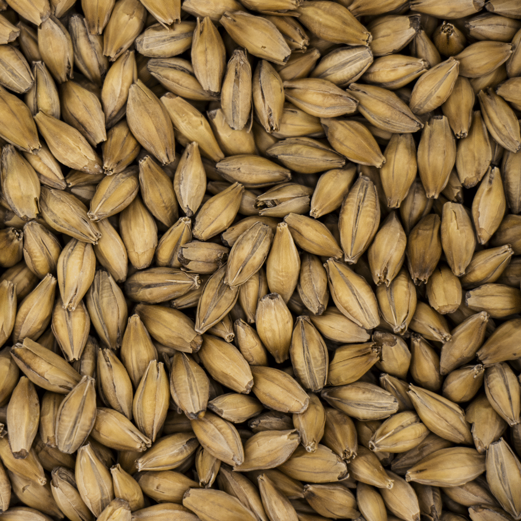 Simpsons Low Colour Golden Promise (25kg)