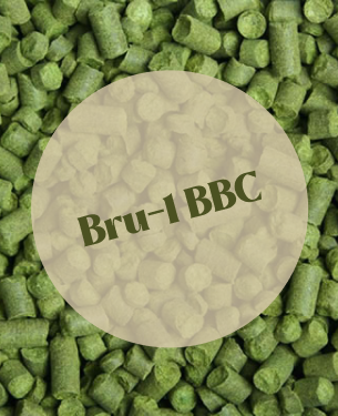 Bru-1 BBC Pellets US T90 (5kg)