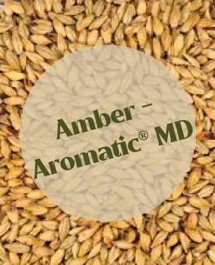 Dingemans Amber/Aromatic MD