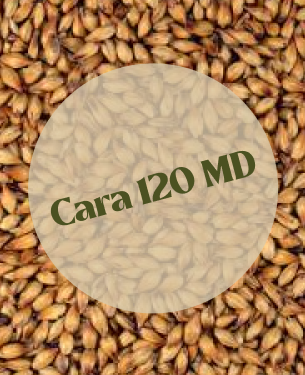 Dingemans Cara 120 MD (25kg)