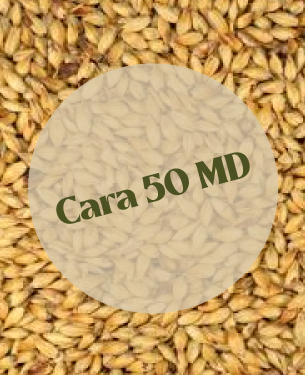 Dingemans Cara 50 MD (25kg)