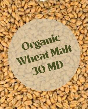 Dingemans Organic Wheat Malt 30 MD