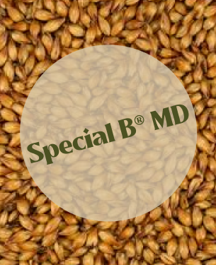 Dingemans Special B MD