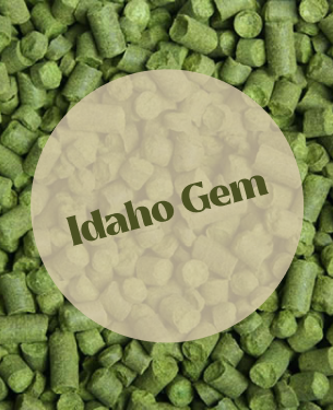 Idaho Gem T90-5kg