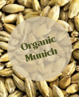 Ireks Organic Munich Malt (25kg)
