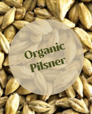 Ireks Organic Pilsner Malt (25kg)
