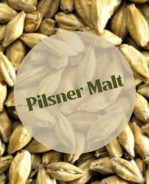 Ireks Pilsner Malt (25kg)