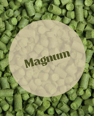 Magnum Pellets T90 (5kg)
