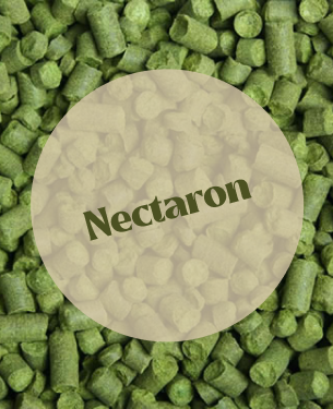 Nectaron Pellets T90 (5kg)