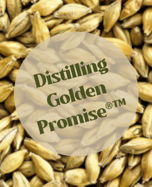Simpsons Finest Distilling Golden Promise (25kg)