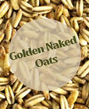 Simpsons Golden Naked Oats GNOTM (25kg)