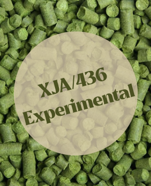 XJA/436 Experimental T90 Pellets